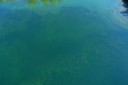 2020 Drone Photos 20200820-DJI_0012.jpg